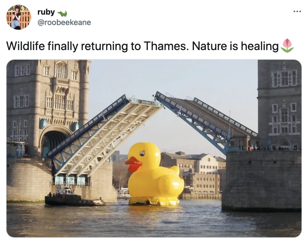 ""