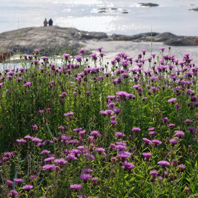 ""
